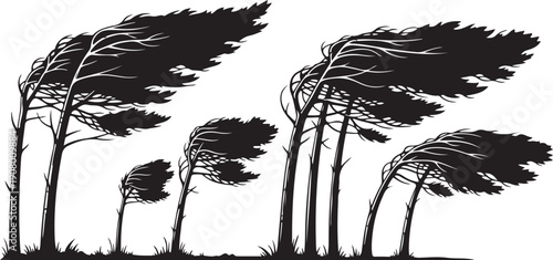 Silhouette of trees swaying in the wind strongly blowing