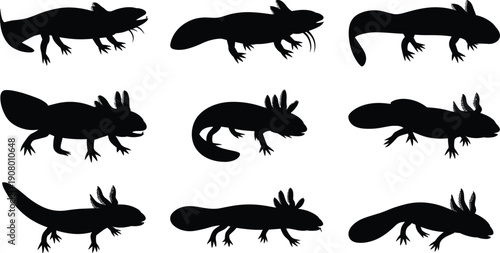Axolotl silhouette pose set isolated on white background aquatic salamander amphibian black vector illustration collection