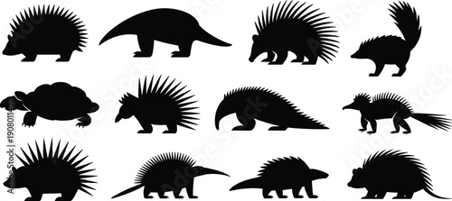Wild spiny animal silhouettes set isolated on white background porcupine echidna anteater armadillo skunk vector collection
