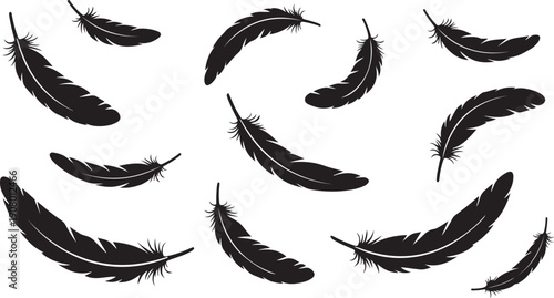 Collection of black feathers on white background illustration set