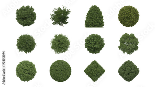 Collection of varied green bushes and shrubs displayed in different shapes and forms