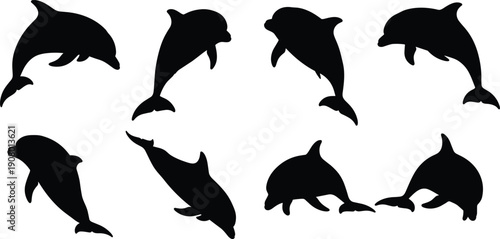 Black silhouettes of dolphins in various swimming positions white background