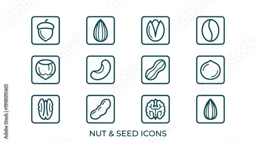 Nut and Seed Line Icons Set for Food and Health Related Design