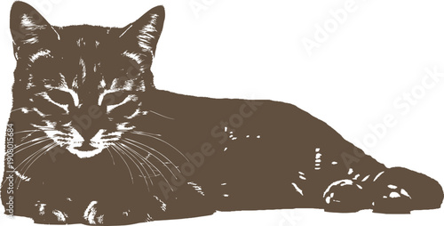 Brown Cat Lying Down on White Background Silhouette