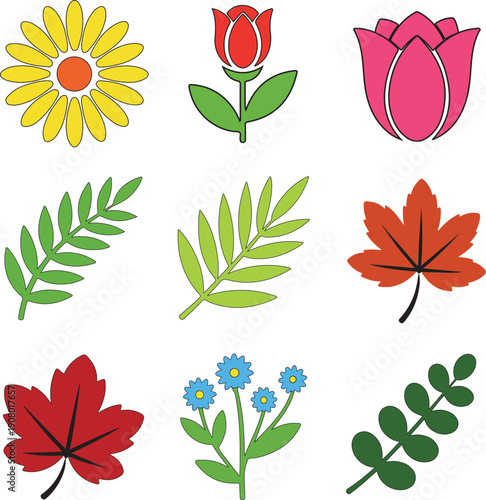 An assortment of colorful flower and leaf illustrations including tulips, a daisy, maple leaves, and small blue flowers