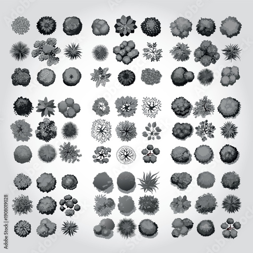 Ensemble de Silhouettes d'Arbres et d'Arbustes pour Plans de Jardins et Architecture Vus de Profil, Nature et Végétation Couleur Gris Vecteur