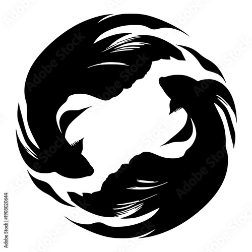 Silhouette of fighting betta fish