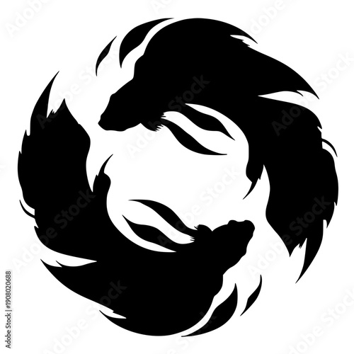 Silhouette of fighting betta fish