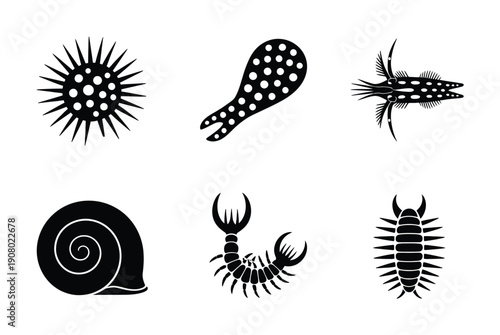 Collection of stylized black and white icons of marine and terrestrial invertebrates