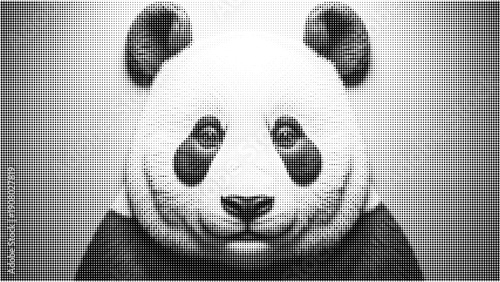 Halftone style close up of panda face black and white dotted pattern animal portrait in vector art design with textured effect