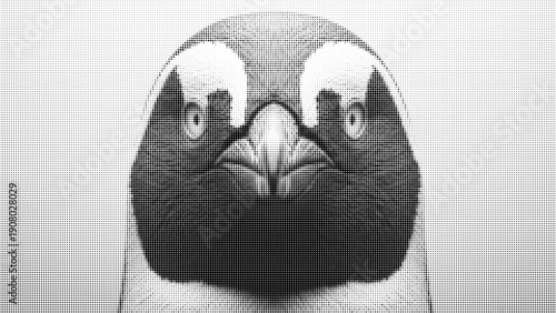 Halftone style close up front view of black and white bird face with detailed beak and sharp eyes vector illustration in dotted pattern design for decoration