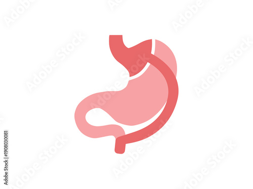 Roux en Y Gastric Bypass Surgery Illustration
