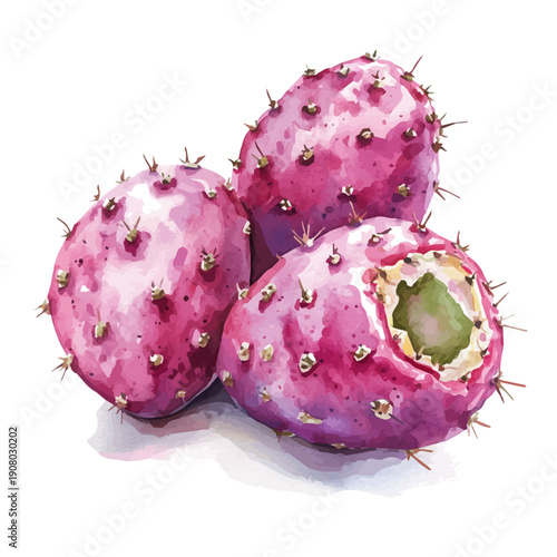 Prickly Pear, semi-realistic fantasy watercolor illustration, magical accents, isolated on white background