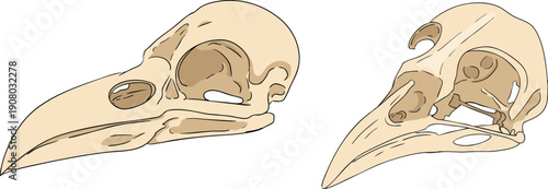 Mystical witch kit collection. Hand drawn colored art with occult symbols. Perfect for modern witchcraft, tarot and esoteric designs. Boho magic vibe