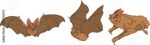 Mystical witch kit collection. Hand drawn colored art with occult symbols. Perfect for modern witchcraft, tarot and esoteric designs. Boho magic vibe