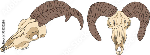 Mystical witch kit collection. Hand drawn colored art with occult symbols. Perfect for modern witchcraft, tarot and esoteric designs. Boho magic vibe