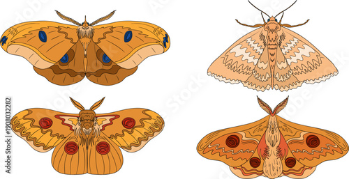 Mystical witch kit collection. Hand drawn colored art with occult symbols. Perfect for modern witchcraft, tarot and esoteric designs. Boho magic vibe