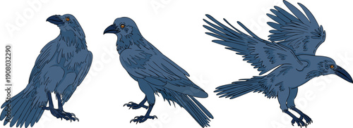 Mystical witch kit collection. Hand drawn colored art with occult symbols. Perfect for modern witchcraft, tarot and esoteric designs. Boho magic vibe