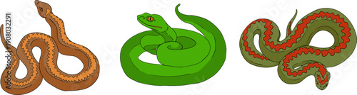 Mystical witch kit collection. Hand drawn colored art with occult symbols. Perfect for modern witchcraft, tarot and esoteric designs. Boho magic vibe