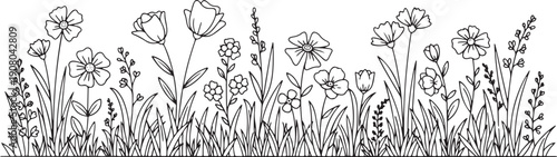Minimalist Wildflower Meadow Garden Line Art Illustration