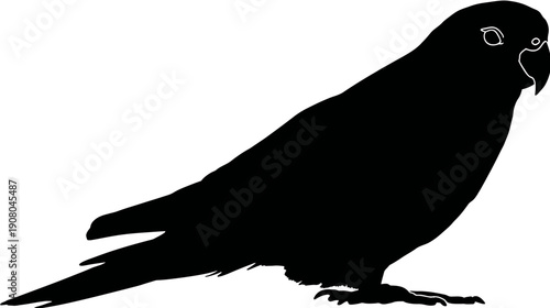A side profile of a dark bird silhouette against white, with detail of eye and beak