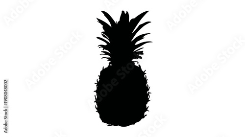 A silhouette of a tropical fruit with spiky crown and textured body against a white background