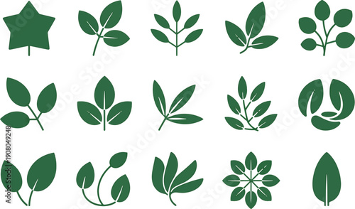 Collection of various green leaf shapes and symbols  plants  foliage
