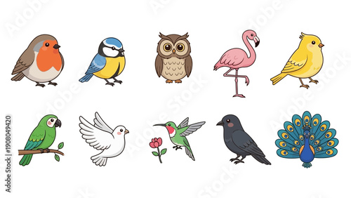 Cute cartoon birds collection isolated on white background.