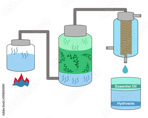 Steam Distillation Process - Essential Oil Extraction Diagram