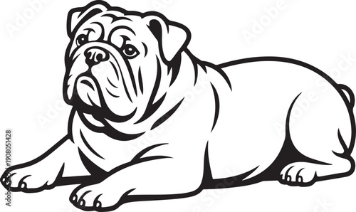 Black and white line art illustration of a resting bulldog
