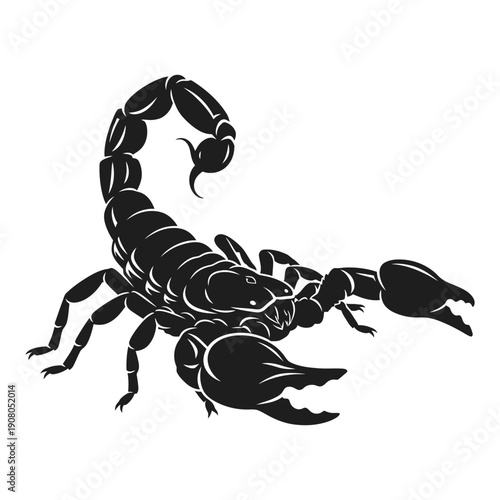 Black Scorpion Silhouette on White Background