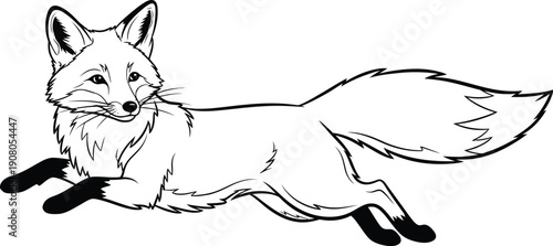 Running fox illustration, outline drawing of a wild animal with bushy tail, elegant movement and speed, for nature or wildlife themes