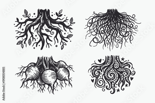 Four Hand-Drawn Root Illustrations: Tree, Vegetable, Abstract, and Decorative Boho Symbols