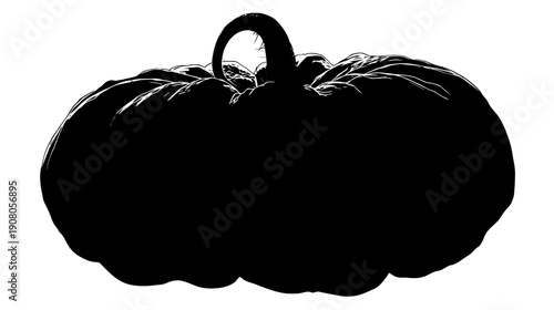 A shadowed silhouette of a gourd with a spiky stem, against a clean white background