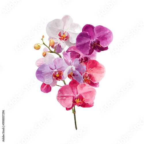 Stylized watercolor Orchid Bouquet vector, modern artistic illustration with high-quality details on a pure white background.