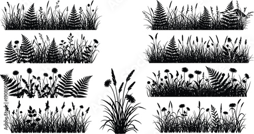 Black wild grass and meadow plant silhouettes set with fern leaves and field flowers, cad drawing flat vector illustration for landscaping