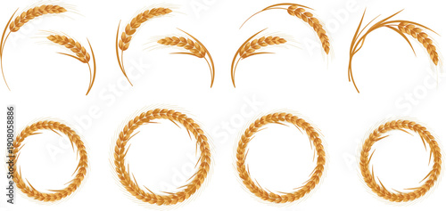 Vector illustration of decorative wheat ears and circular wreaths, agricultural design elements, rustic harvest symbols, organic farming style isolated on white background