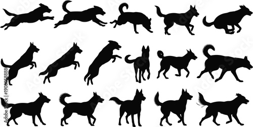Silhouette illustration of dogs in dynamic poses running jumping standing walking, pet animal icon design concept for canine motion, flat vector illustration