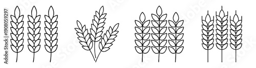 Golden wheat ears vector icon set isolated on white background minimalist harvest agriculture illustration