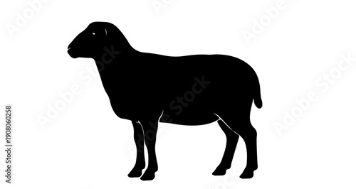 Black sheep silhouette for Palm Sunday and biblical symbolism
