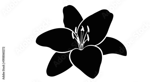 Black lily flower silhouette for decoration and aesthetic themes