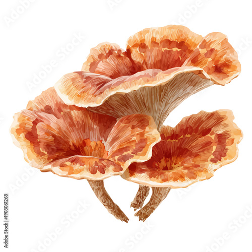 Watercolor Reishi Mushroom vector, artistic painting style, high-resolution illustration on a pure white background.