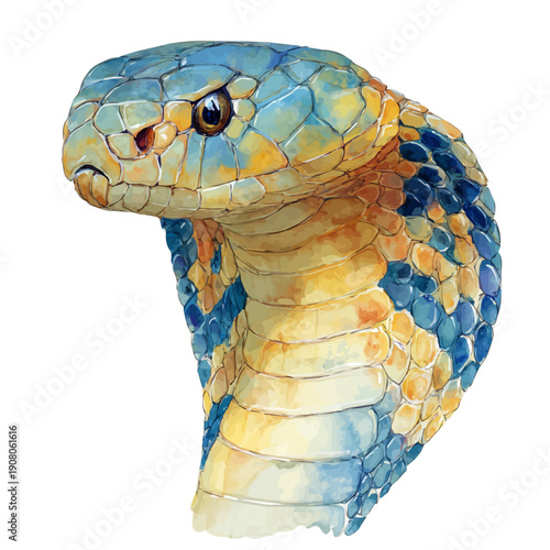 Cobra watercolor vector, hand-painted style, high-quality illustration isolated on white background.