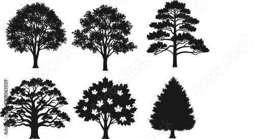 Tree silhouette set with oak pine maple spruce evergreen deciduous forest nature woodland plants landscape garden park collection botanical foliage vegetation