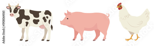 Flat color cow, pig and chicken, side view. Vector illustration isolated on a white background