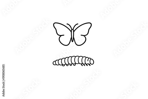 This simple black and white graphic shows a line drawing of a butterfly positioned above a caterpillar against a dark backdrop, illustrating the life cycle of an insect.