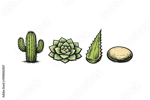 A collection of four stylized desert-themed illustrations featuring a saguaro cactus, a succulent, an aloe vera leaf, and a smooth stone, all set against a solid black background.