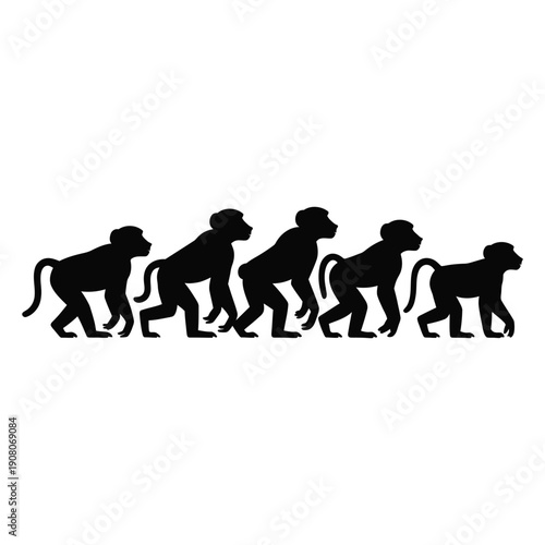 A series of monkey silhouettes showing evolution from ape to human