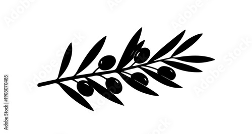 Black olive branch silhouette for Palm Sunday decoration and peace themes