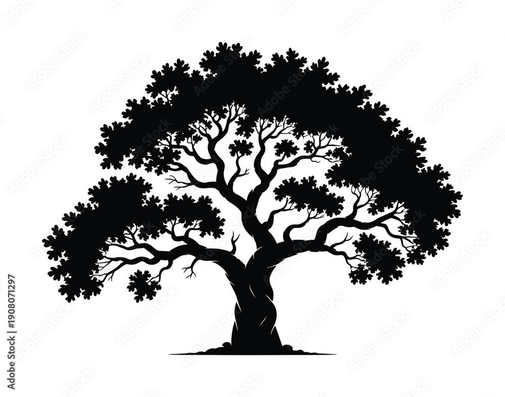 Fototapeta premium Vector silhouette of a large tree with sprawling branches and leaves on a white background